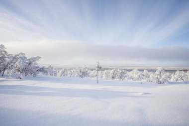 Winter landscape in Pallas Yllastunturi National Park, Lapland, northern Finland.