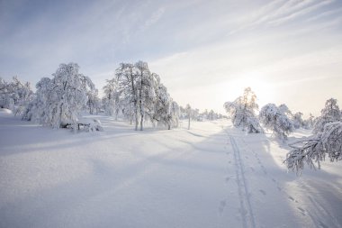 Pallas Yllastunturi Ulusal Parkı, Laponya, Finlandiya 'da kış manzarası