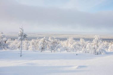 Winter landscape in Pallas Yllastunturi National Park, Lapland, northern Finland.