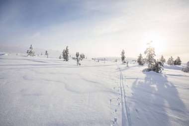 Winter landscape in Pallas Yllastunturi National Park, Lapland, northern Finland.