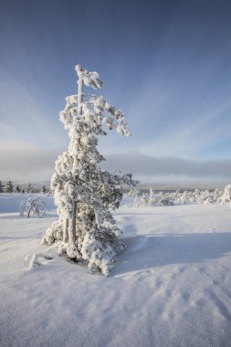 Winter landscape in Pallas Yllastunturi National Park, Lapland, northern Finland.