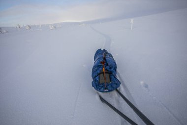 Ski expedition in Pallas Yllastunturi National Park, Lapland, northern Finland.