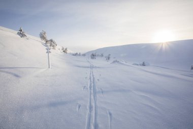Winter landscape in Pallas Yllastunturi National Park, Lapland, northern Finland.