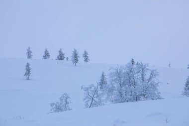 Winter landscape in Pallas Yllastunturi National Park, Lapland, northern Finland.