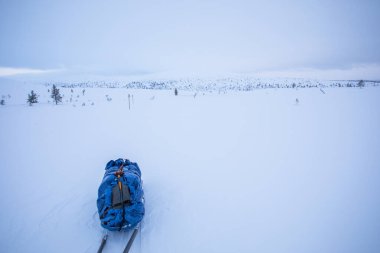 Ski expedition in Pallas Yllastunturi National Park, Lapland, northern Finland.