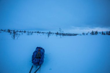Ski expedition in Pallas Yllastunturi National Park, Lapland, northern Finland.