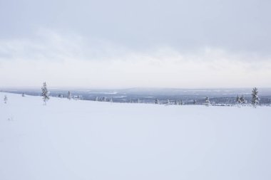 Pallas Yllastunturi Ulusal Parkı, Laponya, Finlandiya 'da kış manzarası