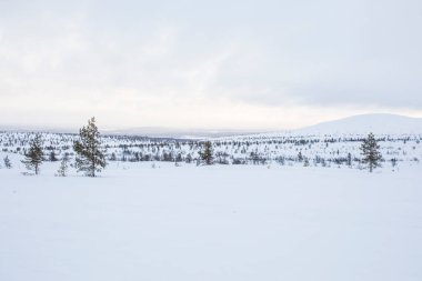 Winter landscape in Pallas Yllastunturi National Park, Lapland, northern Finland.