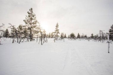 Winter landscape in Pallas Yllastunturi National Park, Lapland, northern Finland.