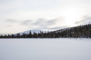 Winter landscape in Pallas Yllastunturi National Park, Lapland, northern Finland.