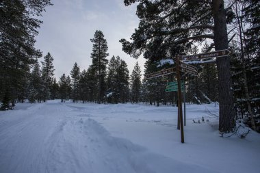 Ski expedition in Pallas Yllastunturi National Park , Lapland, Finland