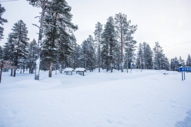 Ski expedition in Pallas Yllastunturi National Park, Lapland, northern Finland.