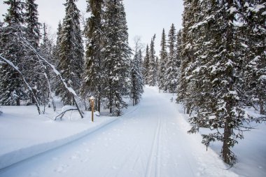 Winter landscape in Pallas Yllastunturi National Park, Lapland, northern Finland.