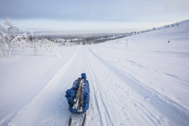 Ski expedition in Pallas Yllastunturi National Park , Lapland, Finland