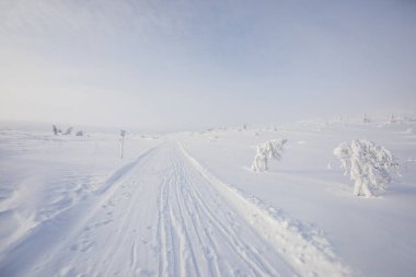 Winter landscape in Pallas Yllastunturi National Park, Lapland, northern Finland.