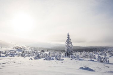 Winter landscape in Pallas Yllastunturi National Park, Lapland, northern Finland.
