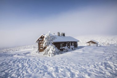 Ski expedition in Pallas Yllastunturi National Park, Lapland, northern Finland.