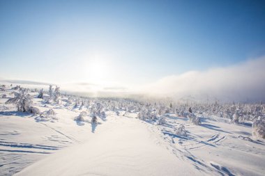 Winter landscape in Pallas Yllastunturi National Park, Lapland, Finland