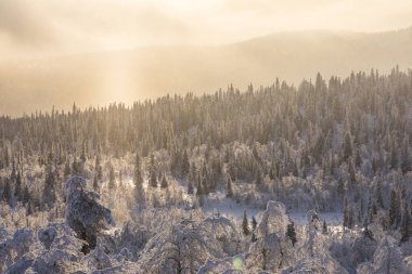 Winter landscape in Pallas Yllastunturi National Park, Lapland, northern Finland.