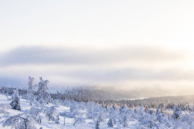 Winter landscape in Pallas Yllastunturi National Park, Lapland, Finland