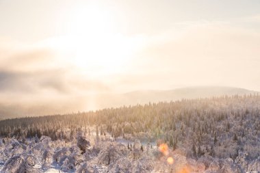 Winter landscape in Pallas Yllastunturi National Park, Lapland, Finland