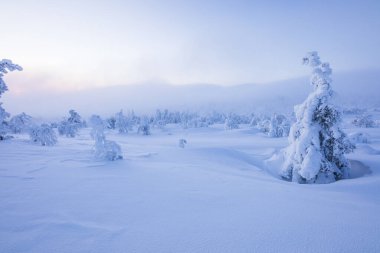 Winter landscape in Pallas Yllastunturi National Park, Lapland, northern Finland.