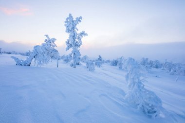 Winter landscape in Pallas Yllastunturi National Park, Lapland, northern Finland.