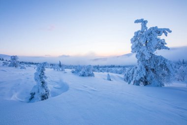 Winter landscape in Pallas Yllastunturi National Park, Lapland, northern Finland.