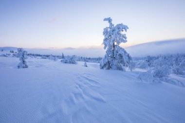 Winter landscape in Pallas Yllastunturi National Park, Lapland, northern Finland.