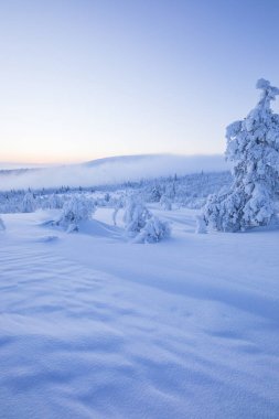 Winter landscape in Pallas Yllastunturi National Park, Lapland, northern Finland.