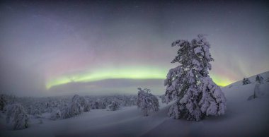 Northern lights in Pallas Yllastunturi National Park, Lapland, northern Finland