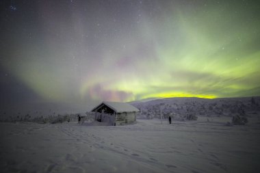 Northern lights in Pallas Yllastunturi National Park, Lapland, northern Finland