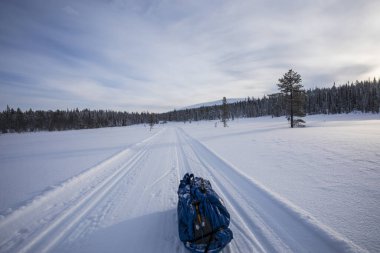 Ski expedition in Pallas Yllastunturi National Park, Lapland, northern Finland.