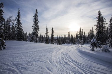 Pallas Yllastunturi Milli Parkı, Laponya, Finlandiya 'da kayak gezisi