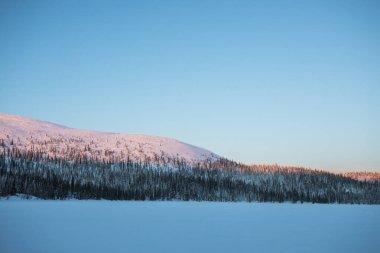 Pallas Yllastunturi Ulusal Parkı, Laponya, Finlandiya 'da kış manzarası