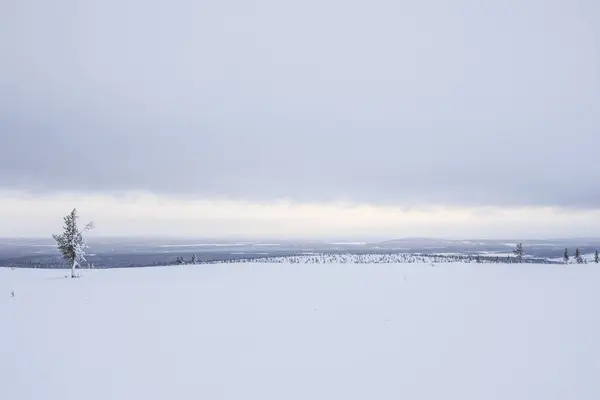 Winter Landscape Pallas Yllastunturi National Park Lapland Northern Finland — стоковое фото