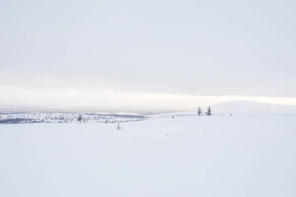 Winterlandschaft Pallas Yllastunturi Nationalpark Lappland Finnland — Stockfoto