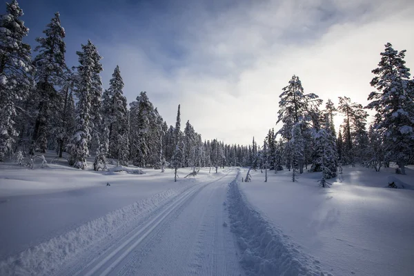 Ski Expedition Pallas Yllastunturi National Park Lapland Northern Finland — Stock fotografie