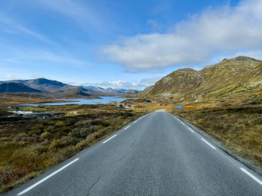 Norveç 'in güneyinde Trondheim' dan Oslo yoluna sonbahar yolu