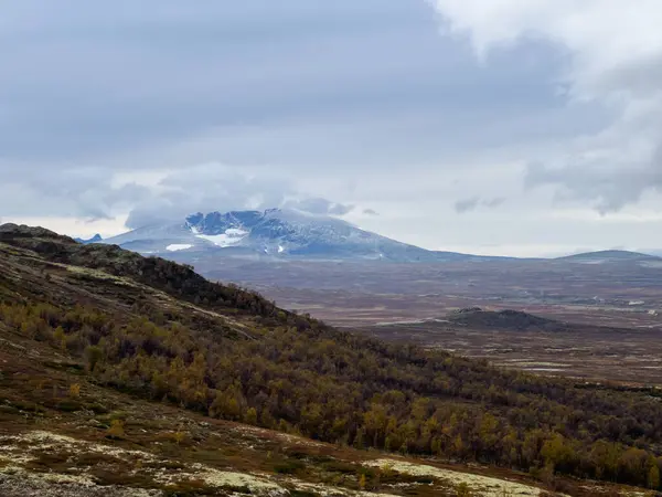 Осінній Пейзаж Національному Парку Доврефельда Норвегії Європі — стокове фото