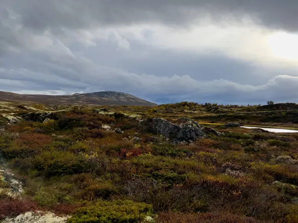 Осінній Пейзаж Національному Парку Доврефельда Норвегії Європі — стокове фото