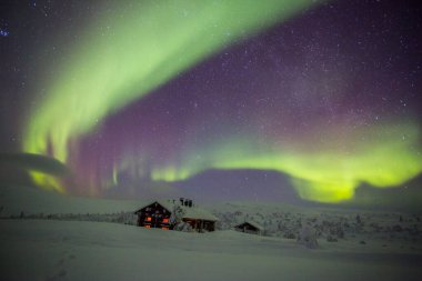 Northern lights in Pallas Yllastunturi National Park, Lapland, northern Finland