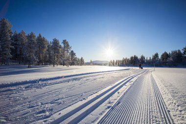Ski expedition in Pallas Yllastunturi National Park, Lapland, northern Finland.