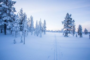 Winter landscape in Pallas Yllastunturi National Park, Lapland, northern Finland.
