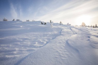 Winter landscape in Pallas Yllastunturi National Park, Lapland, northern Finland.