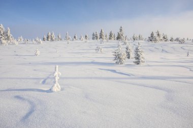 Pallas Yllastunturi Ulusal Parkı, Laponya, Finlandiya 'da kış manzarası