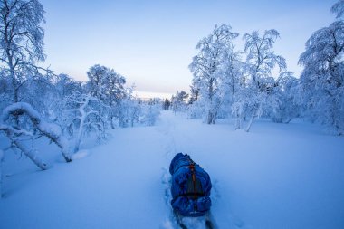 Ski expedition in Pallas Yllastunturi National Park, Lapland, northern Finland.