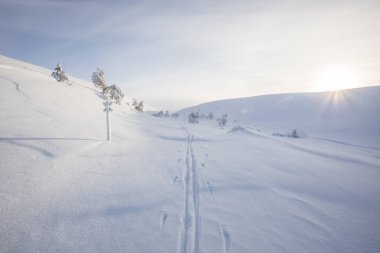 Winter landscape in Pallas Yllastunturi National Park, Lapland, northern Finland.