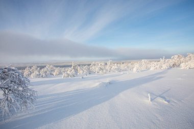 Pallas Yllastunturi Ulusal Parkı, Laponya, Finlandiya 'da kış manzarası