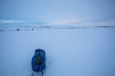Pallas Yllastunturi Milli Parkı, Laponya, Finlandiya 'da kayak gezisi